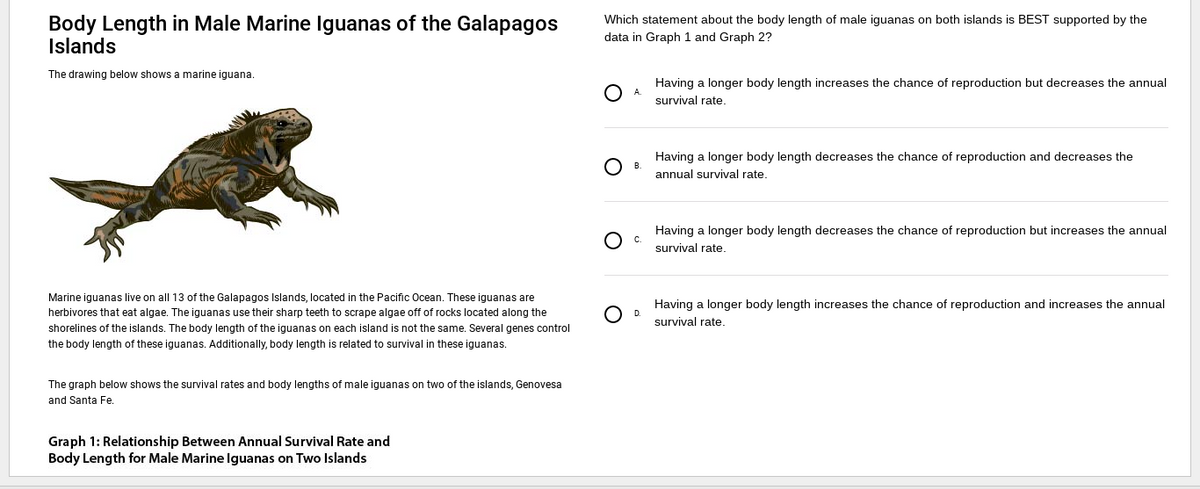 Body Length in Male Marine Iguanas of the Galapagos
Islands
The drawing below shows marine iguana.
Marine iguanas live on all 13 of the Galapagos Islands, located in the Pacific Ocean. These iguanas are
herbivores that eat algae. The iguanas use their sharp teeth to scrape algae off of rocks located along the
shorelines of the islands. The body length of the iguanas on each island is not the same. Several genes control
the body length of these iguanas. Additionally, body length is related to survival in these iguanas.
The graph below shows the survival rates and body lengths of male iguanas on two of the islands, Genovesa
and Santa Fe.
Graph 1: Relationship Between Annual Survival Rate and
Body Length for Male Marine Iguanas on Two Islands
Which statement about the body length of male iguanas on both islands is BEST supported by the
data in Graph 1 and Graph 2?
O
B
Having a longer body length increases the chance of reproduction but decreases the annual
survival rate.
Having a longer body length decreases the chance of reproduction and decreases the
annual survival rate.
Having a longer body length decreases the chance of reproduction but increases the annual
survival rate.
Having a longer body length increases the chance of reproduction and increases the annual
survival rate.