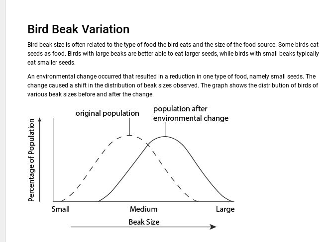 Bird Beak Variation
Bird beak size is often related to the type of food the bird eats and the size of the food source. Some birds eat
seeds as food. Birds with large beaks are better able to eat larger seeds, while birds with small beaks typically
eat smaller seeds.
An environmental change occurred that resulted in a reduction in one type of food, namely small seeds. The
change caused a shift in the distribution of beak sizes observed. The graph shows the distribution of birds of
various beak sizes before and after the change.
original population
Percentage of Population
Small
population after
environmental change
Medium
Beak Size
Large