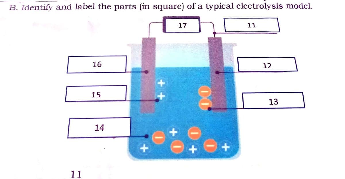 B. Identify and label the parts (in square) of a typical electrolysis model.
17
11
16
12
15
13
14
11
