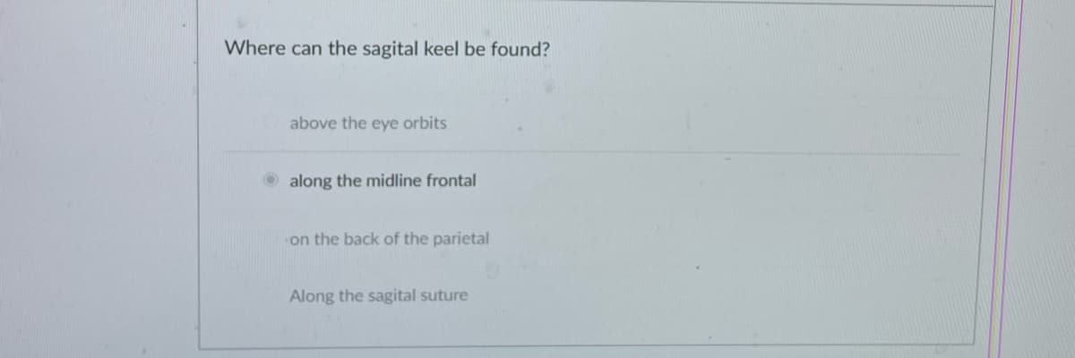 Where can the sagital keel be found?
above the eye orbits
along the midline frontal
on the back of the parietal
Along the sagital suture