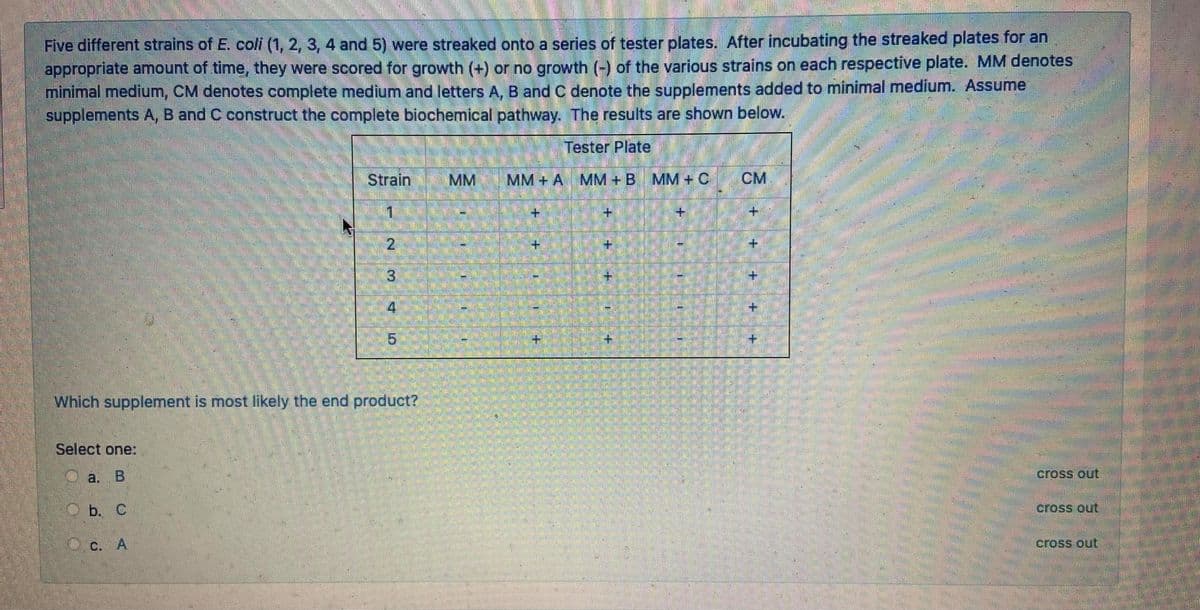 Five different strains of E. coli (1, 2, 3, 4 and 5) were streaked onto a series of tester plates. After incubating the streaked plates for an
appropriate amount of time, they were scored for growth (+) or no growth (-) of the various strains on each respective plate. MM denotes
minimal medium, CM denotes complete medium and letters A, B and C denote the supplements added to minimal medium. Assume
supplements A, B and C construct the complete bjochemical pathway. The results are shown below.
Tester Plate
Strain
MM
MM+ A MM + B MM+C
CM
1
+.
+1
+.
+.
2.
+.
4
Which supplement is most likely the end product?
Select one:
O a. B
cross out
O b. C
cross out
O c. A
cross out
+.
3.
