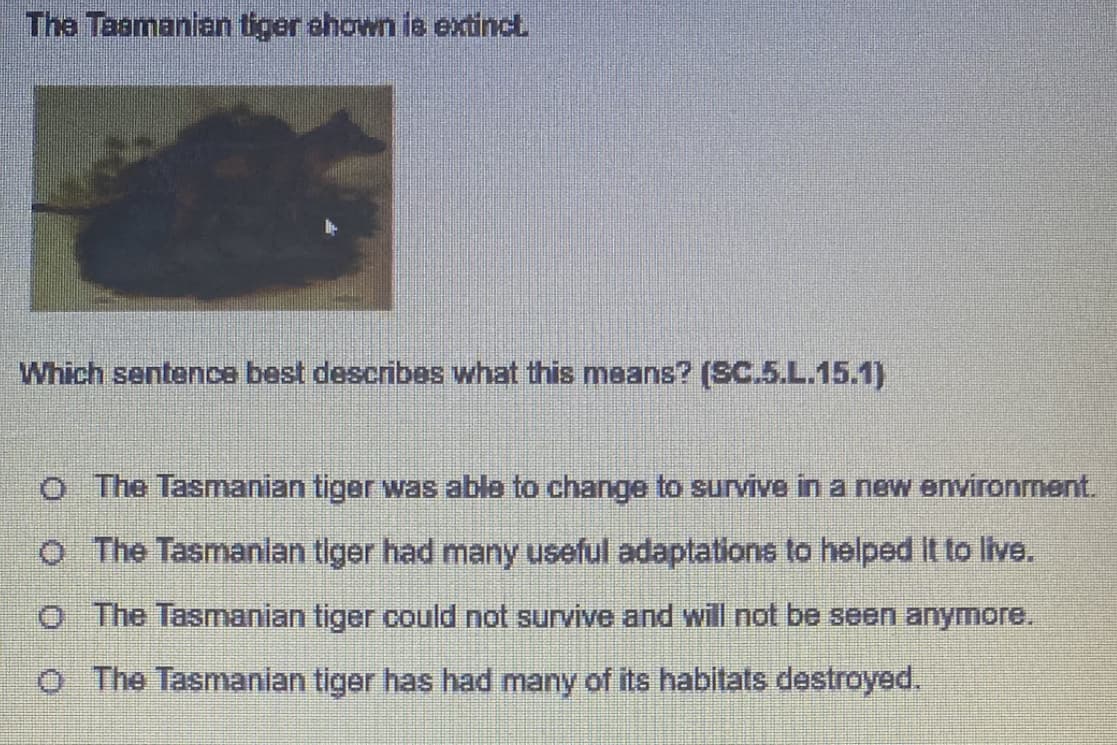 The Taamanian tiger ahown is extinct
Which sentence best describes what this means? (SC.5.L.15.1)
O The Tasmanian tiger was able to change to survive ina new environment,
o The Tasmanian tiger had many useful adaptations to helped It to live.
O The Tasmanian tiger could not survive and will not be seen anymore.
O The Tasmanian tiger has had many of its habitats destroyed.
