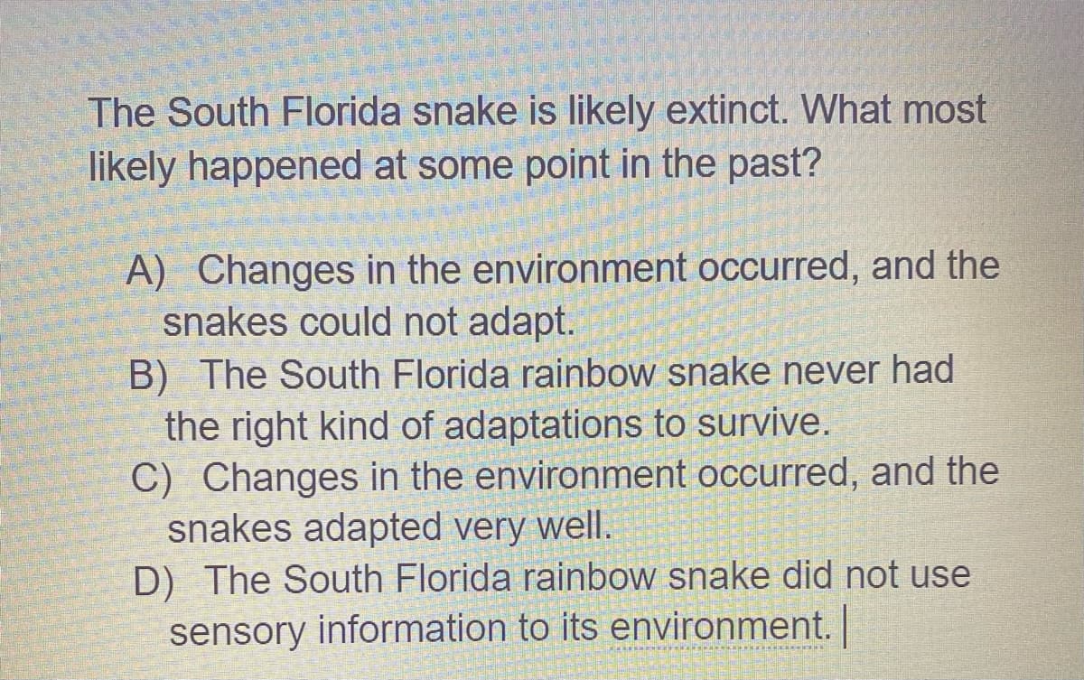 The South Florida snake is likely extinct. What most
likely happened at some point in the past?
A) Changes in the environment occurred, and the
snakes could not adapt.
B) The South Florida rainbow snake never had
the right kind of adaptations to survive.
C) Changes in the environment occurred, and the
snakes adapted very well.
D) The South Florida rainbow snake did not use
sensory information to its environment.
