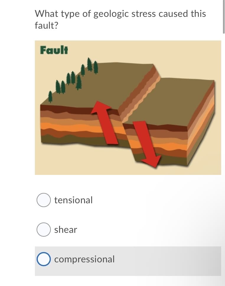 What type of geologic stress caused this
fault?
Fault
tensional
shear
O compressional
