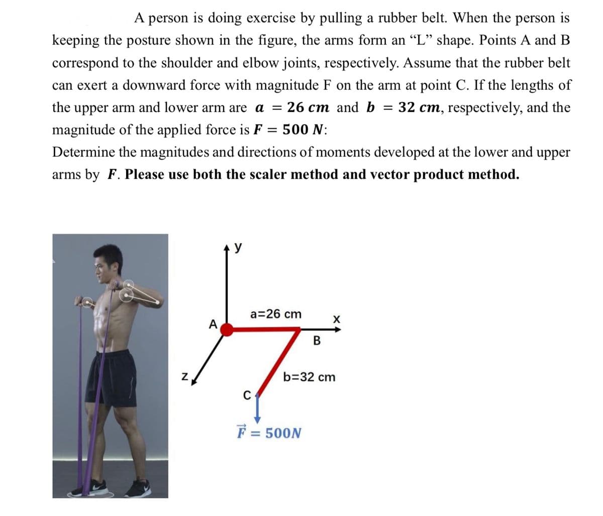 A person is doing exercise by pulling a rubber belt. When the person is
keeping the posture shown in the figure, the arms form an "L" shape. Points A and B
correspond to the shoulder and elbow joints, respectively. Assume that the rubber belt
can exert a downward force with magnitude F on the arm at point C. If the lengths of
the upper arm and lower arm are a = 26 cm and b
32 cm, respectively, and the
magnitude of the applied force is F
500 N:
Determine the magnitudes and directions of moments developed at the lower and upper
arms by F. Please use both the scaler method and vector product method.
a=26 cm
A
b=32 cm
F = 500N
B.
