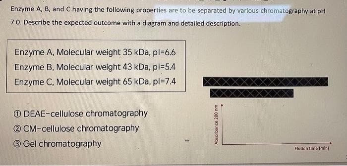 Enzyme A, B, and C having the following properties are to be separated by various chromatography at pH
7.0. Describe the expected outcome with a diagram and detailed description.
Enzyme A, Molecular weight 35 kDa, pl=6.6
Enzyme B, Molecular weight 43 kDa, pl=5.4
Enzyme C, Molecular weight 65 kDa, pl=7.4
O DEAE-cellulose chromatography
® CM-cellulose chromatography
® Gel chromatography
Elution time (min)
Absorbance 280 nm
