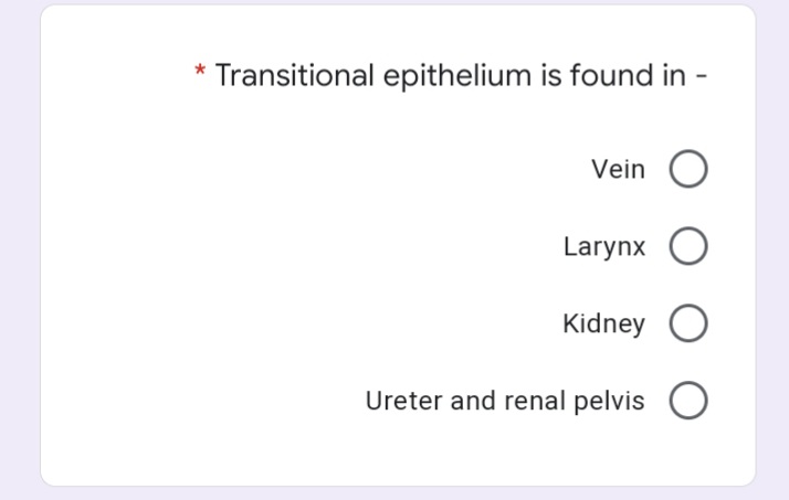 Transitional epithelium is found in
Vein O
Larynx O
Kidney O
Ureter and renal pelvis O

