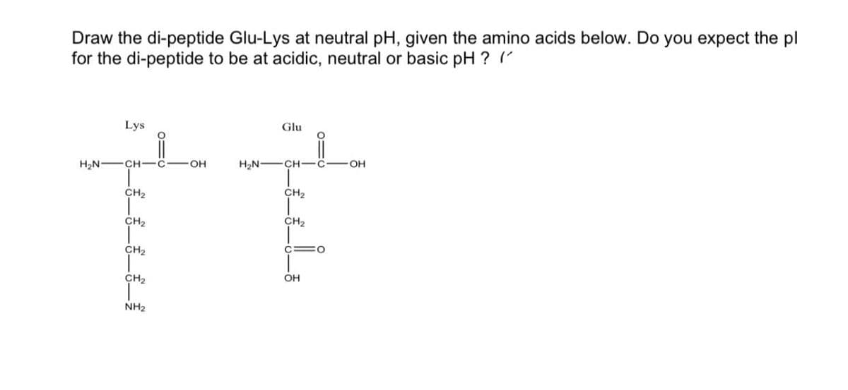 Draw the di-peptide Glu-Lys at neutral pH, given the amino acids below. Do you expect the pl
for the di-peptide to be at acidic, neutral or basic pH ? (
Lys
Glu
H2N-
CH-C
OH
H2N-
CH-
C -OH
CH2
CH2
CH2
CH2
CH,
C =O
CH2
OH
NH2
