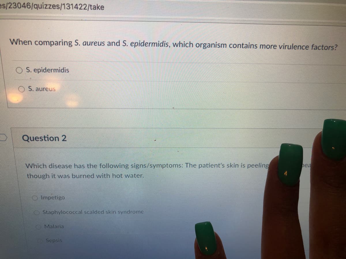 es/23046/quizzes/131422/take
When comparing S. aureus and S. epidermidis, which organism contains more virulence factors?
S. epidermidis
S. aureus
Question 2
Which disease has the following signs/symptoms: The patient's skin is peeling
bea
though it was burned with hot water.
OImpetigo
O Staphylococcal scalded skin syndrome
Malaria
Sepsis

