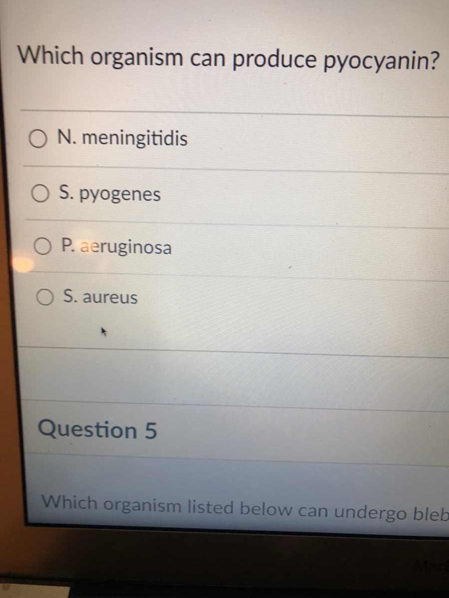 Which organism can produce pyocyanin?
O N. meningitidis
O S. pyogenes
O P. aeruginosa
S. aureus
Question 5
Which organism listed below can undergo bleb

