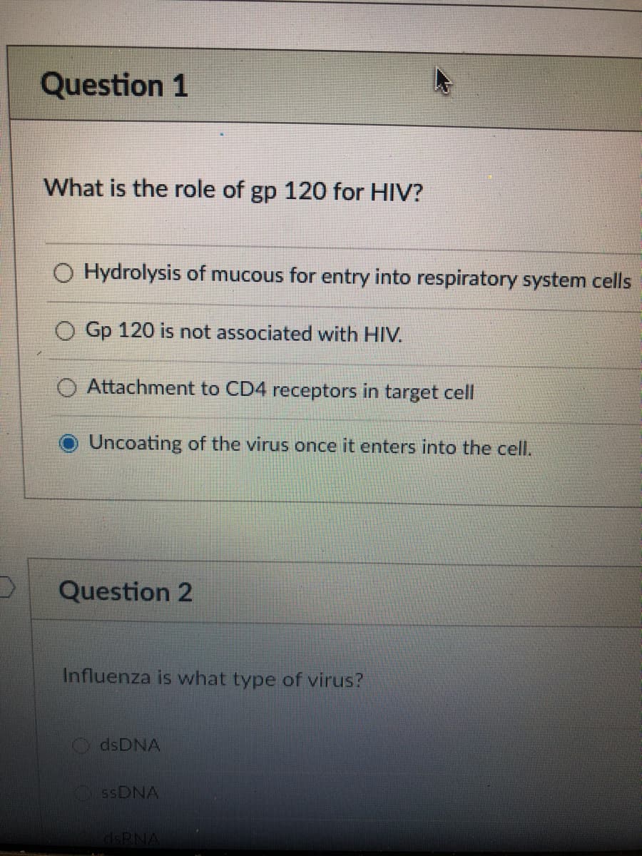 Question 1
What is the role of gp 120 for HIV?
O Hydrolysis of mucous for entry into respiratory system cells
O Gp 120 is not associated with HIV.
O Attachment to CD4 receptors in target cell
Uncoating of the virus once it enters into the cell.
Question 2
Influenza is what type of virus?
dsDNA
SSDNA
dsRNA
