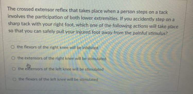 The crossed extensor reflex that takes place when a person steps on a tack
involves the participation of both lower extremities. If you accidently step on a
sharp tack with your right foot, which one of the following actions will take place
so that you can safely pull your injured foot away from the painful stimulus?
O the flexors of the right knee will be inbibited
O the extensors of the right knee will be stimulated
O the extensors of the left knee will be stimulated
O the flexors of the left knee will be stimulated
