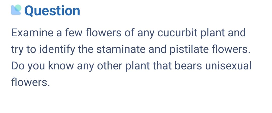 IN Question
Examine a few flowers of any cucurbit plant and
try to identify the staminate and pistilate flowers.
Do you know any other plant that bears unisexual
flowers.
