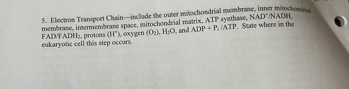 5. Electron Transport Chain-include the outer mitochondrial membrane, inner mitochondrial
membrane, intermembrane space, mitochondrial matrix, ATP synthase, NAD+/NADH,
FAD/FADH2, protons (H¹), oxygen (O₂), H₂O, and ADP + P₁ /ATP. State where in the
eukaryotic cell this step occurs.