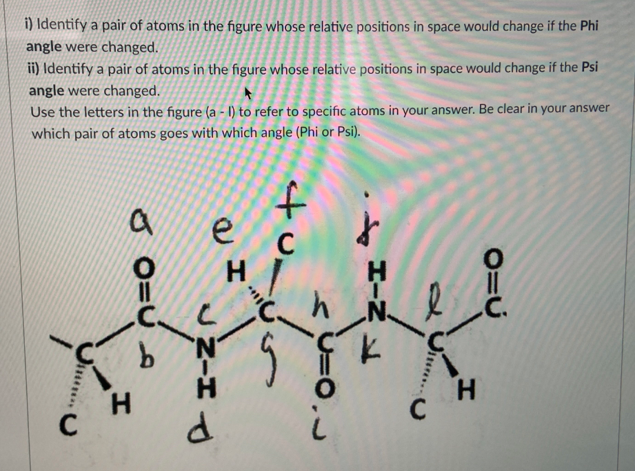 i) Identify a pair of atoms in the figure whose relative positions in space would change if the Phi
angle were changed.
ii) Identify a pair of atoms in the figure whose relative positions in space would change if the Psi
angle were changed.
Use the letters in the figure (a - 1) to refer to specific atoms in your answer. Be clear in your answer
which pair of atoms goes with which angle (Phi or Psi).
e
C
H.
H
.C.
.C.
N'
'N'
H.
C
H
C
