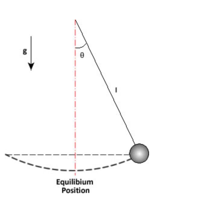 g
Equilibium
Position