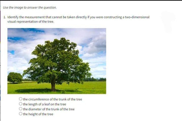 Use the image to answer the question.
1. Identify the measurement that cannot be taken directly if you were constructing a two-dimensional
visual representation of the tree.
the circumference of the trunk of the tree
the length of a leaf on the tree
the diameter of the trunk of the tree
the height of the tree