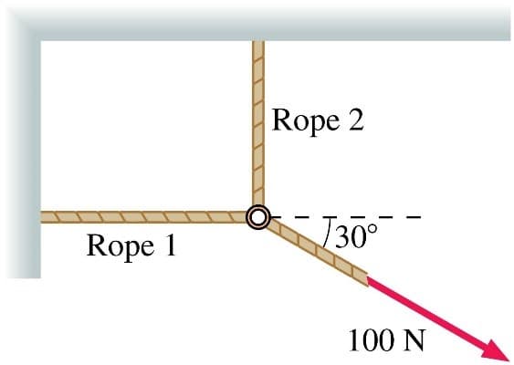Rope 2
Rope 1
J30°
100 N
