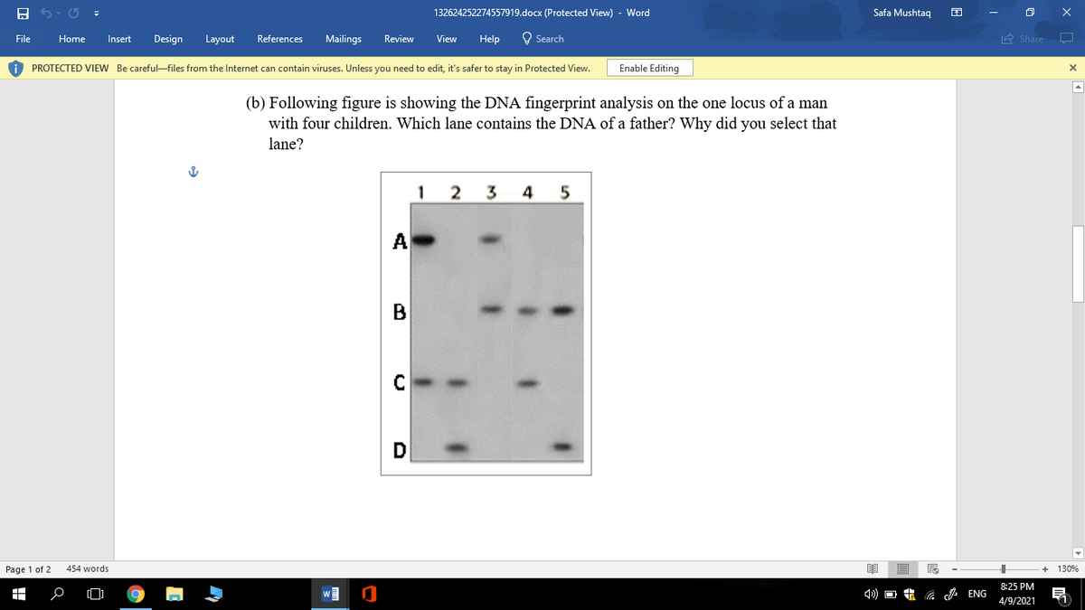 132624252274557919.docx (Protected View) - Word
Safa Mushtaq
File
Home
Insert
Design
Layout
References
Mailings
Review
View
Help
O Search
A Share
A PROTECTED VIEW Be careful-files from the Internet can contain viruses. Unless you need to edit, it's safer to stay in Protected View.
Enable Editing
(b) Following figure is showing the DNA fingerprint analysis on the one locus of a man
with four children. Which lane contains the DNA of a father? Why did you select that
lane?
1
4
A
Page 1 of 2
454 words
130%
8:25 PM
G A ENG
4/9/2021
