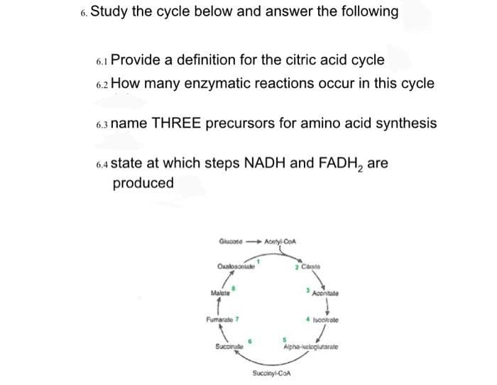 6. Study the cycle below and answer the following
6.1 Provide a definition for the citric acid cycle
6.2 How many enzymatic reactions occur in this cycle
6.3 name THREE precursors for amino acid synthesis
6.4 state at which steps NADH and FADH₂ are
produced
Glucose-Acetyl-CoA
Oxalbacolade
Malate
Fumarate 7
Succinate
2 Citrato
Succinyl-CoA
Aconitate
4 Isocrate
Alpha-ketoglutarate