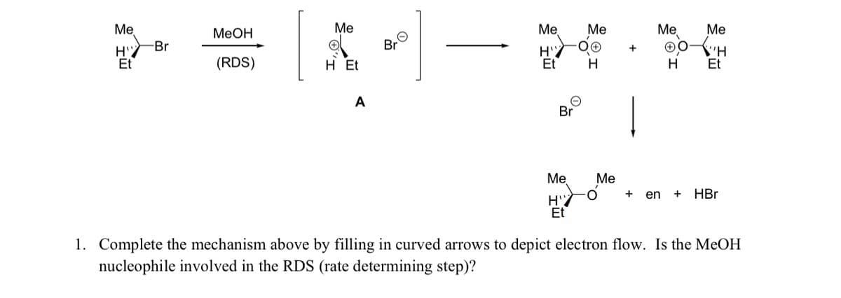 Me
MeOH
Ме
Me
Ме
Me
Me
-Br
Br
(RDS)
H'
Et
\'H
Et
Et
H Et
A
Br
Me
Ме
+
en
HBr
H'
Et
1. Complete the mechanism above by filling in curved arrows to depict electron flow. Is the MeOH
nucleophile involved in the RDS (rate determining step)?
