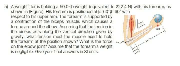 5) A weightlifter is holding a 50.0-lb weight (equivalent to 222.4 N) with his forearm, as
shown in (Figure). His forearm is positioned at B=60°B=60° with
respect to his upper arm. The forearm is supported by
a contraction of the biceps muscle, which causes a
torque around the elbow. Assuming that the tension in
the biceps acts along the vertical direction given by
gravity, what tension must the muscle exert to hold
the forearm at the position shown? What is the force
on the elbow joint? Assume that the forearm's weight
is negligible. Give your final answers in Sl units.
60
50 Ib
13.0 in.
1.5 in.
