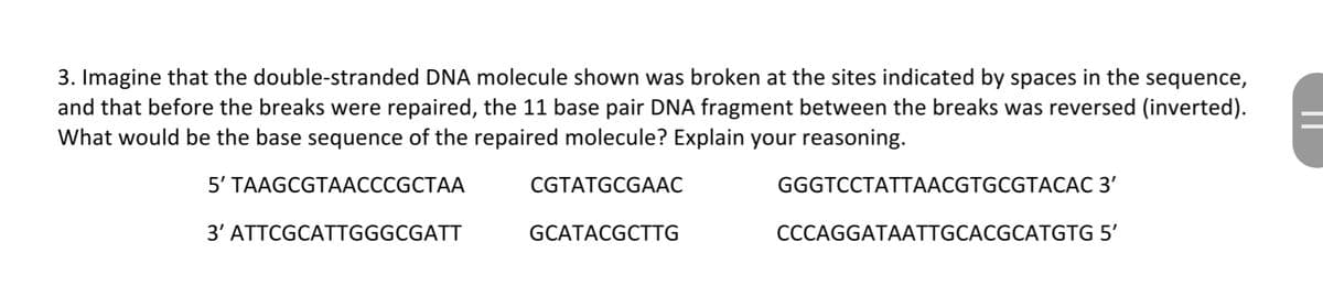 3. Imagine that the double-stranded DNA molecule shown was broken at the sites indicated by spaces in the sequence,
and that before the breaks were repaired, the 11 base pair DNA fragment between the breaks was reversed (inverted).
What would be the base sequence of the repaired molecule? Explain your reasoning.
5' TAAGCGTAACCCGCTAA
CGTATGCGAAC
GGGTCCTATTAACGTGCGTACÁC 3'
3' ATTCGCATTGGGCGATT
GCATACGCTTG
CCCAGGATAATTGCACGCATGTG 5'
