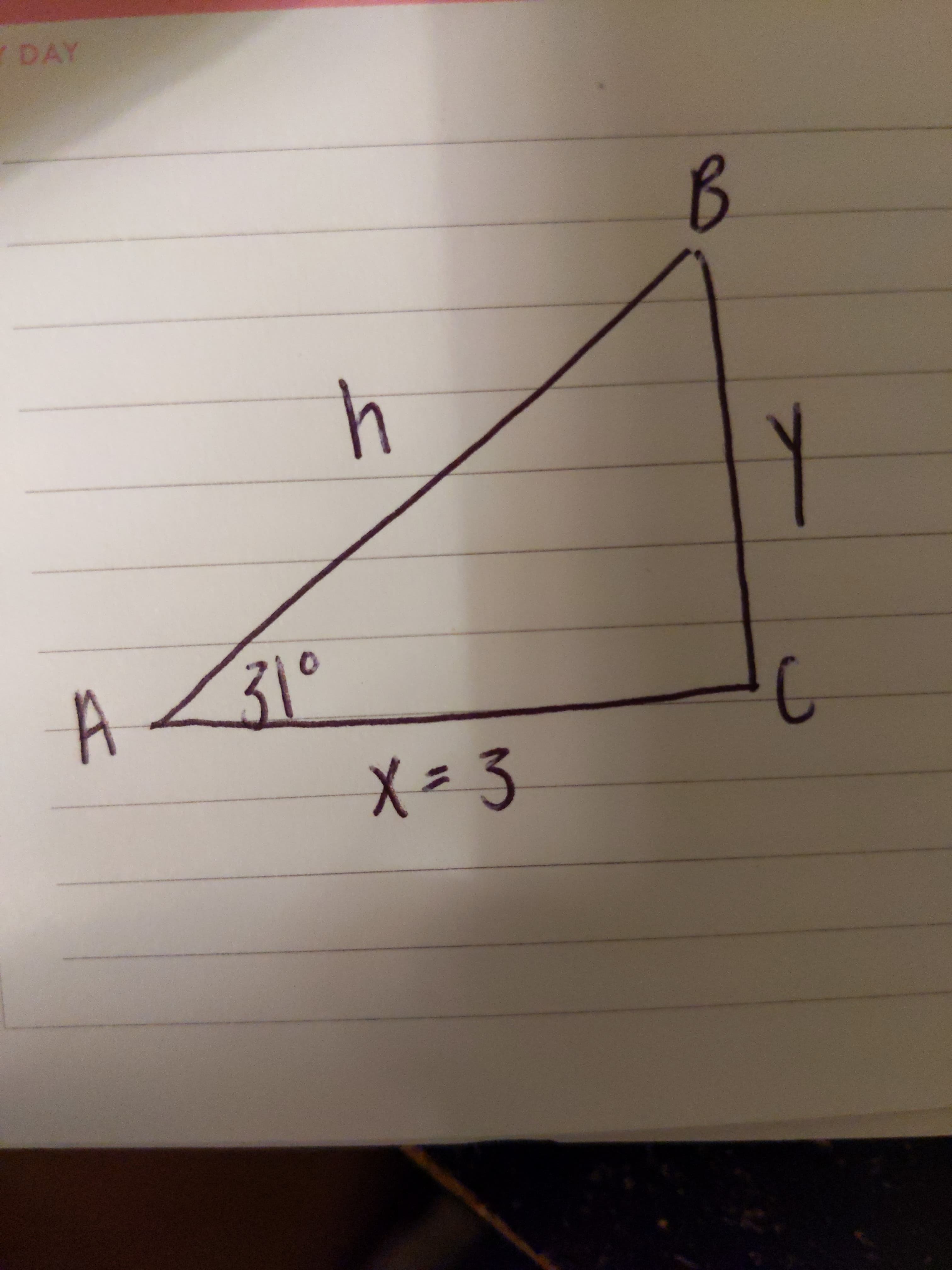 DAY
4
31°
X= 3
