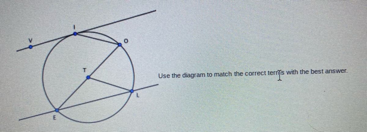 Use the diagram to match the correct ternfs with the best answer.
