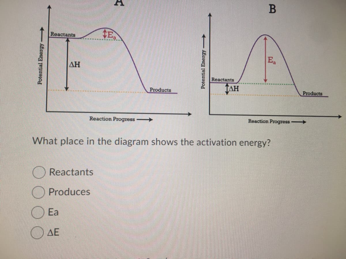 Reactants
Ea
AH
Reactants
TAH
Products
Products
Reaction Progress
Reaction Progress
What place in the diagram shows the activation energy?
Reactants
Produces
Ea
O AE
Potential Energy
Potential Energy
