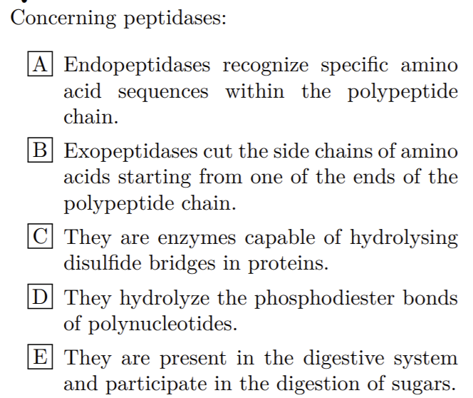 Concerning peptidases:
A Endopeptidases recognize specific amino
acid sequences within the polypeptide
chain.
B Exopeptidases cut the side chains of amino
acids starting from one of the ends of the
polypeptide chain.
C They are enzymes capable of hydrolysing
disulfide bridges in proteins.
D They hydrolyze the phosphodiester bonds
of polynucleotides.
E They are present in the digestive system
and participate in the digestion of
sugars.
