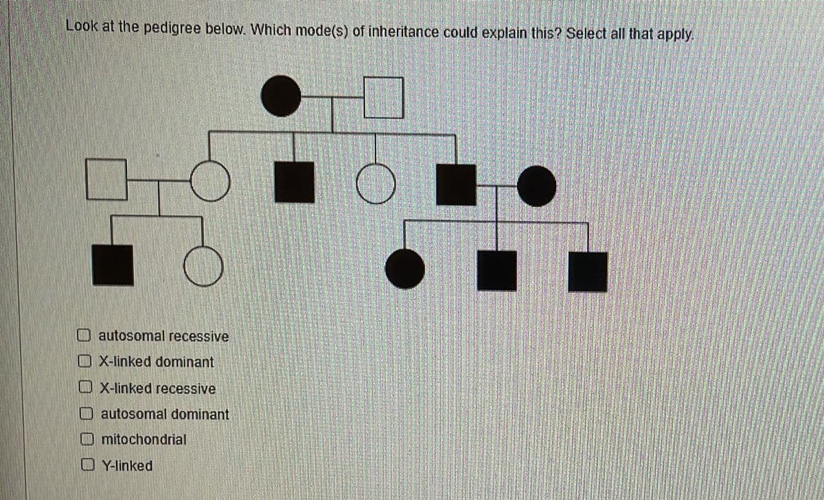 Look at the pedigree below. Which mode(s) of inheritance could explain this? Select all that apply.
O autosomal recessive
O X-linked dominant
O X-linked recessive
O autosomal dominant
O mitochondrial
O Y-linked
