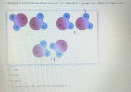 1. Which pair of water molecules shown below are most likely to form a hydrogen bond in their current positions?
II
II
O A Pair I
OB. Pair I
OC Pair
OD All are equally
nd in their current oositions
