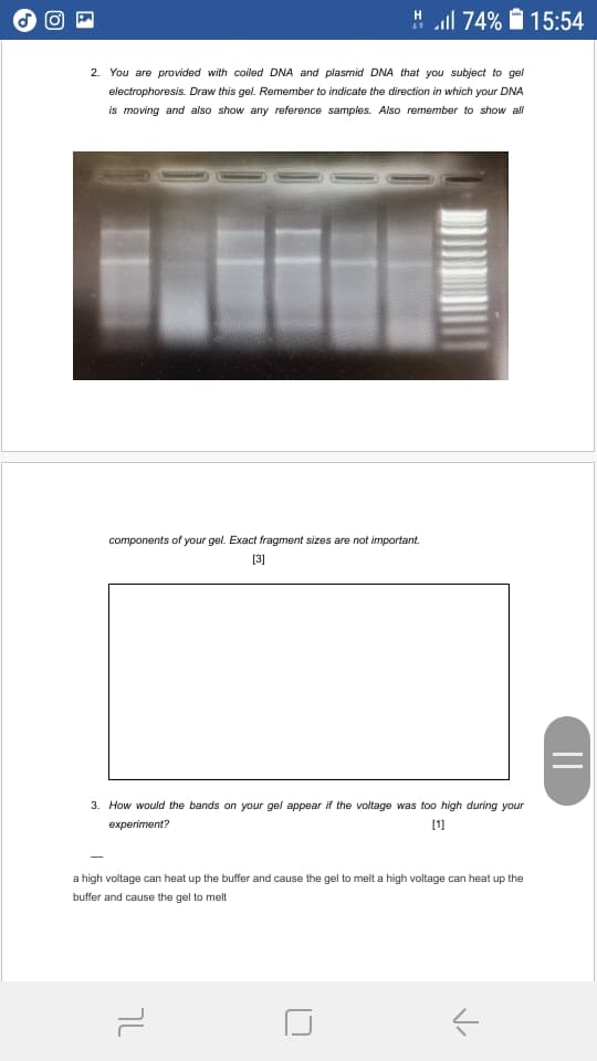 " l 74% I 15:54
H
2. You are provided with coiled DNA and plasmid DNA that you subject to gel
electrophoresis. Draw this gel. Remember to indicate the direction in which your DNA
is moving and also show any reference samples. Also remember to show all
components of your gel. Exact fragment sizes are not important.
[3]
3. How would the bands on your gel appear if the voltage was too high during your
experiment?
[1
a high voltage can heat up the buffer and cause the gel to melt a high voltage can heat up the
buffer and cause the gel to melt
||
טך
