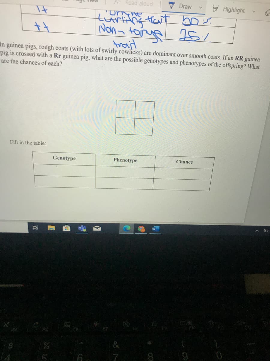 A" Read aloud
V Draw
E Highlight
It
Non- tong
trait
In guinea pigs, rough coats (with lots of swirly cowlicks) are dominant over smooth coats. If an RR guinea
pig is crossed with a Rr guinea pig, what are the possible genotypes and phenotypes of the offspring? What
are the chances of each?
Fill in the table:
Chance
Genotype
Phenotype
