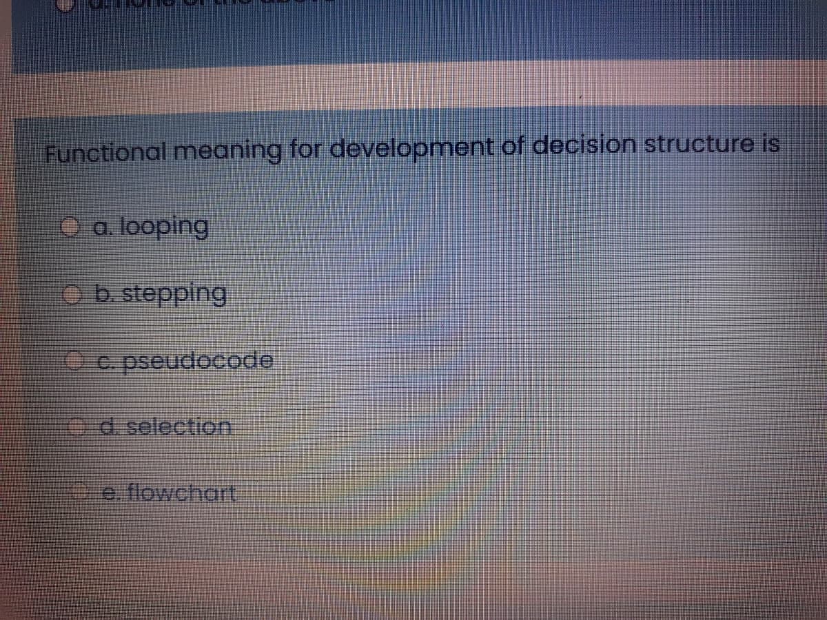 Functional meaning for development of decision structure is
O a. looping
O b. stepping
O c. pseudocode
O d. selection
D e. flowchart,
