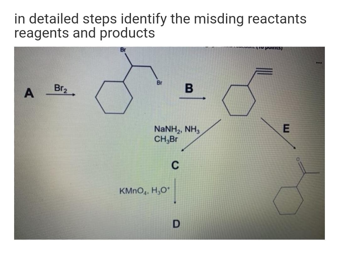 in detailed steps identify the misding reactants
reagents and products
"Iv points)
w..
Br
Br2
B
A
E
NaNH,, NH,
CH,Br
C
KMNO,, H,O*
