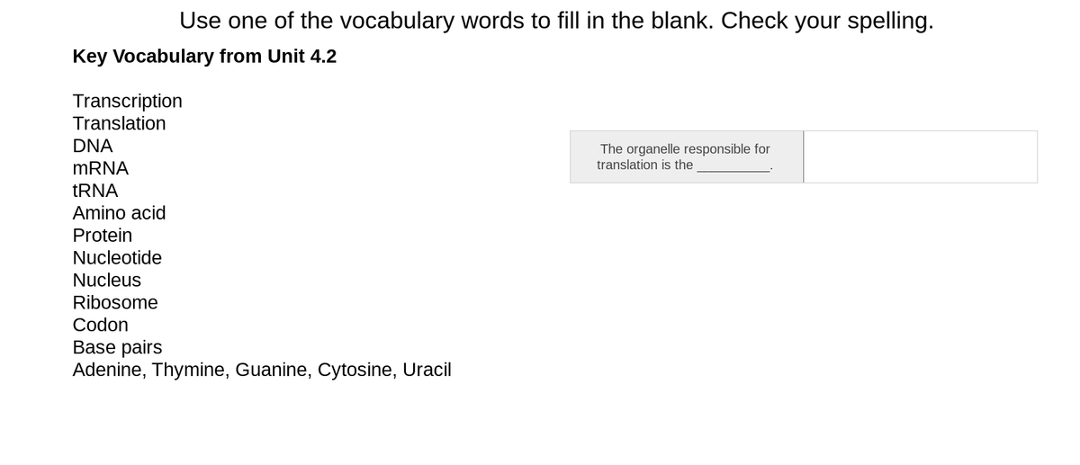 Use one of the vocabulary words to fill in the blank. Check your spelling.
Key Vocabulary from Unit 4.2
Transcription
Translation
DNA
The organelle responsible for
translation is the
MRNA
TRNA
Amino acid
Protein
Nucleotide
Nucleus
Ribosome
Codon
Base pairs
Adenine, Thymine, Guanine, Cytosine, Uracil
