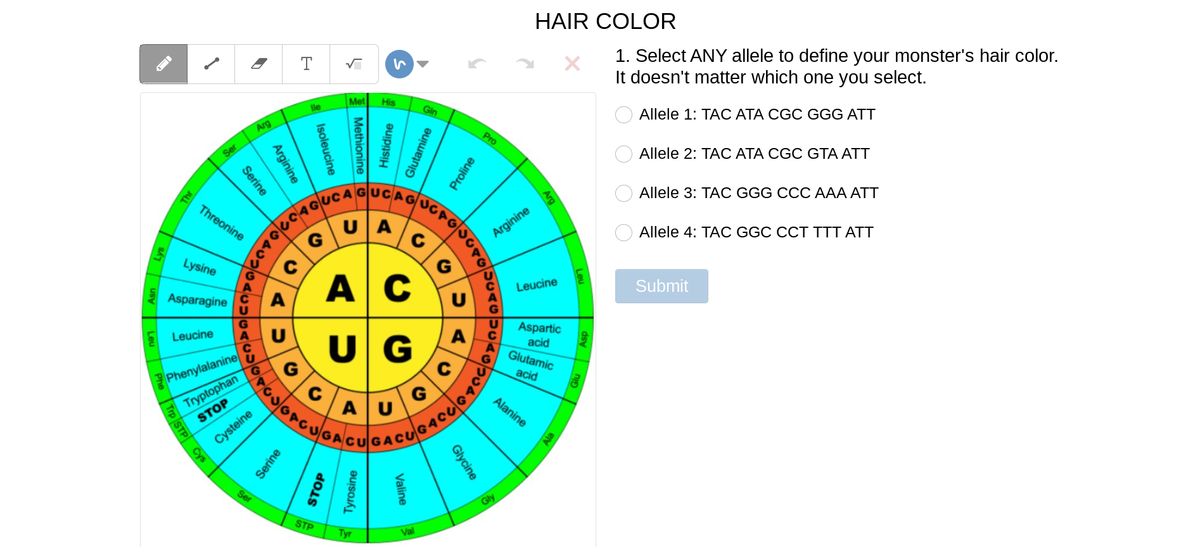 HAIR COLOR
1. Select ANY allele to define your monster's hair color.
It doesn't matter which one you select.
Met
His
lle
Gin
Allele 1: TAC ATA CGC GGG ATT
Arg
Pro
Ser
Allele 2: TAC ATA CGC GTA ATT
UCAG
UA
Allele 3: TAC GGG CCC AAA ATT
Threonine
Arginine
Allele 4: TAC GGC CCT TTT ATT
Lysine
G
ACU
Leucine
Submit
Asparagine
Aspartic
2 Leucine
A
U G
acid
Glutamic
acid
Phenylalanine
AU
G
Alanine
STOP
CAGUGACUGAGU
Cysteine
Ser
Gly
STP
Tyr
Val
O O O O
Arg
Glutamine
Histidine
Methionine
Proline
Isoleucine
Arginine
Serine
Leu Phe Trp STP Cys
Glycine
Valine
Asn Lys
Serine
