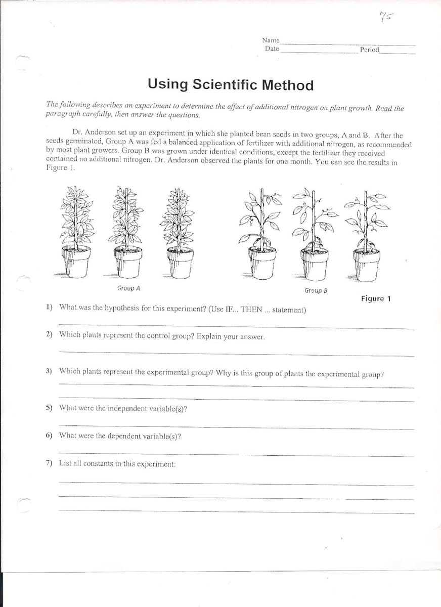 Name
Date
Period
Using Scientific Method
The following describes an experiment to determine the effect of additional nitrogen on plant growth. Read the
paragraph carefully, then answer the questions.
Dr. Anderson set up an experiment in which she planted bean seeds in two groups, A and B. After the
sceds germinated, Group A was fed a balanced application of fertilizer with additional nitrogen, as recommended
by most plant growers. Group B was grown under identical conditions, except the fertilizer they received
contained no additional nitrogen. Dr. Anderson observed the plants for one month. You can see the results in
Figure 1.
Group A
Group B
Figure 1
1) What was the hypothesis for this experiment? (Use IF... THEN .. statement)
2) Which plants represent the control group? Explain your answer.
3) Which plants represent the experimental group? Why is this group of plants the experimental group?
5) What were the independent variable(s)?
6) What were the dependent variable(s)?
7) List all constants in this experiment:
