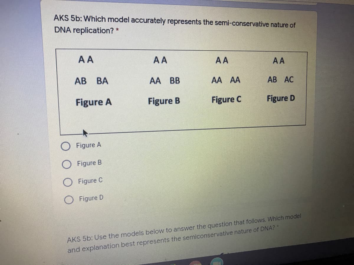AKS 5b: Which model accurately represents the semi-conservative nature of
DNA replication? *
AA
AA
AA
AA
АВ ВА
AA BB
AA AA
AB AC
Figure A
Figure B
Figure C
Figure D
Figure A
Figure B
Figure C
Figure D
AKS 5b: Use the models below to answer the question that follows. Which model
and explanation best represents the semiconservative nature of DNA? *
