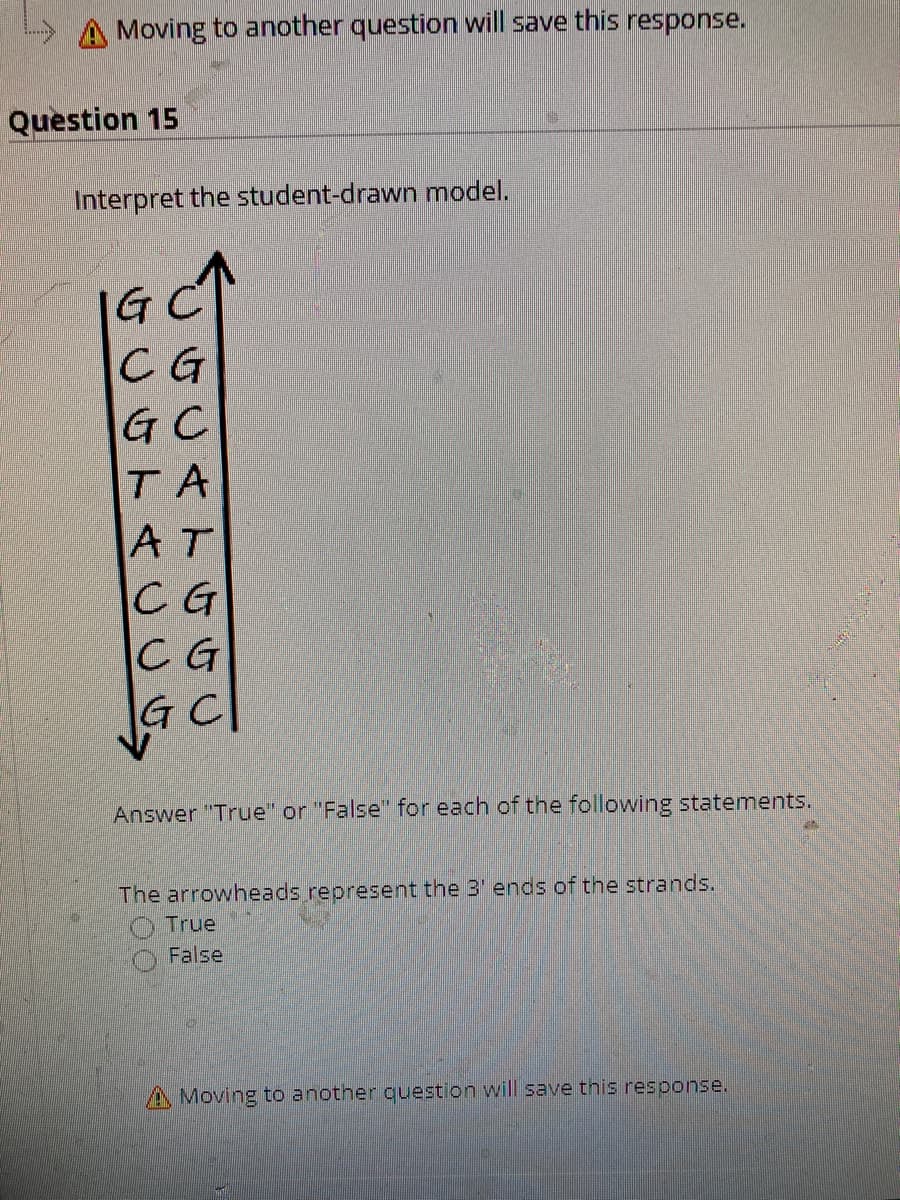 A Moving to another question will save this response.
Question 15
Interpret the student-drawn model.
CG
GC
TA
AT
CG
C G
G C|
Answer "True" or "False" for each of the following statements.
The arrowheads represent the 3' ends of the strands.
True
False
A Moving to another question will save this response.
