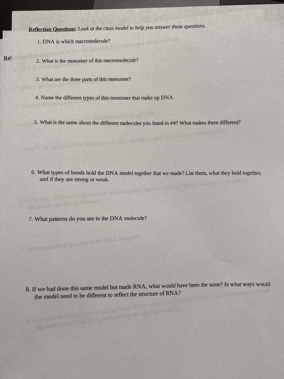 Ref
Reflection Questions: Look at the class model to help you answer these questions.
1. DNA is which macromolecule?
2. What is the monomer of this macromolecule?
3. What are the three parts of this monomer?
4. Name the different types of this monomer that make up
5. What is the same about the different molecules you listed in #4? What makes them different?
6. What types of bonds hold the DNA model together that we made? List them, what they hold together,
and if they are strong or weak.
7. What patterns do you see in the DNA molecule?
DNA.
8. If we had done this same model but made RNA, what would have been the same? In what ways would
the model need to be different to reflect the structure of RNA?
we
had