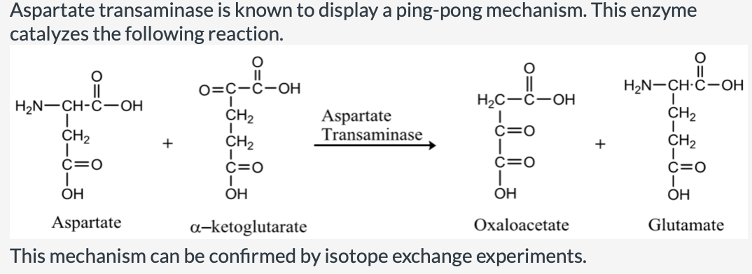 Aspartate transaminase is known to display a ping-pong mechanism. This enzyme
catalyzes the following reaction.
II
H2N-CH-C-OH
II
0=C-Ĉ-OH
H2N-CH-C-OH
H2C-C-OH
CH2
CH2
Aspartate
Transaminase
CH2
c=0
CH2
+
CH2
c=0
C=0
c=0
c=0
OH
OH
OH
OH
Aspartate
a-ketoglutarate
Oxaloacetate
Glutamate
This mechanism can be confirmed by isotope exchange experiments.

