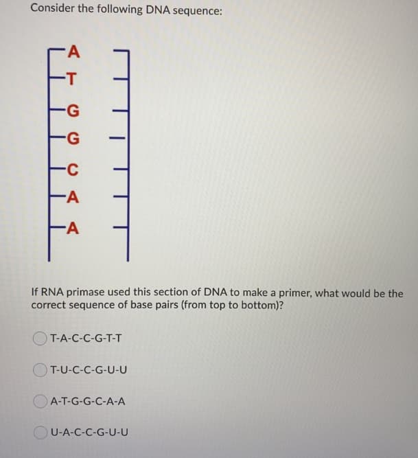 Consider the following DNA sequence:
-T
--
--
If RNA primase used this section of DNA to make a primer, what would be the
correct sequence of base pairs (from top to bottom)?
T-A-C-C-G-T-T
OT-U-C-C-G-U-U
OA-T-G-G-C-A-A
U-A-C-C-G-U-U

