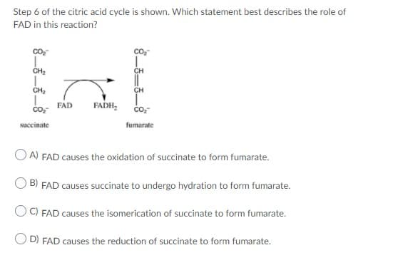 Step 6 of the citric acid cycle is shown. Which statement best describes the role of
FAD in this reaction?
CH₂
lal
CH₂
FAD
FADH₂ CO₂
CO₂
succinate
CH
CH
fumarate
OA) FAD causes the oxidation of succinate to form fumarate.
B) FAD causes succinate to undergo hydration to form fumarate.
C) FAD causes the isomerication of succinate to form fumarate.
D) FAD causes the reduction of succinate to form fumarate.