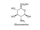 CH;OH
но,
но
HO.
Glucosamina
