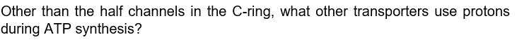 Other than the half channels in the C-ring, what other transporters use protons
during ATP synthesis?
