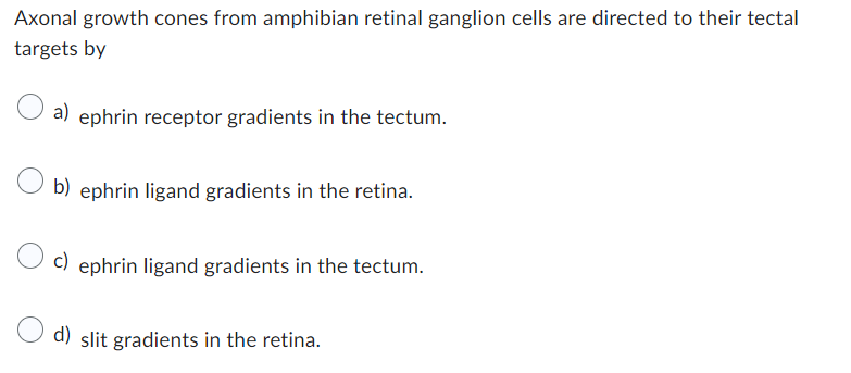 Axonal growth cones from amphibian retinal ganglion cells are directed to their tectal
targets by
a) ephrin receptor gradients in the tectum.
b) ephrin ligand gradients in the retina.
c) ephrin ligand gradients in the tectum.
d) slit gradients in the retina.