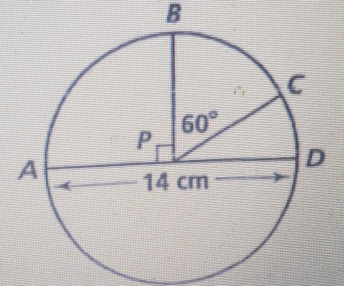 B.
60°
D.
14cm

